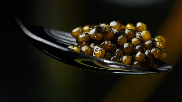 Un Caviar Français Utilisant des Méthodes Durables et Respectueuses de  l'Environnement - French Quarter Magazine