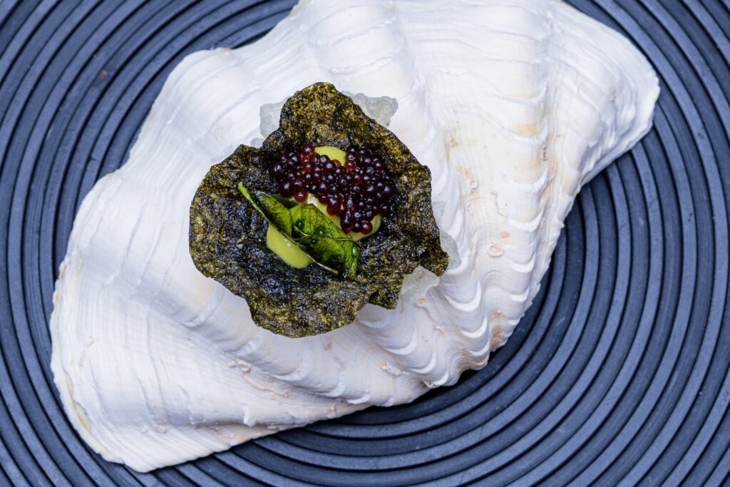 Un Caviar Français Utilisant des Méthodes Durables et Respectueuses de  l'Environnement - French Quarter Magazine