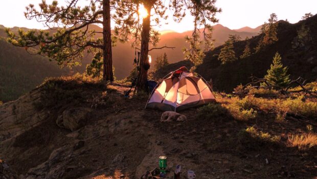 outdoor camping near tree