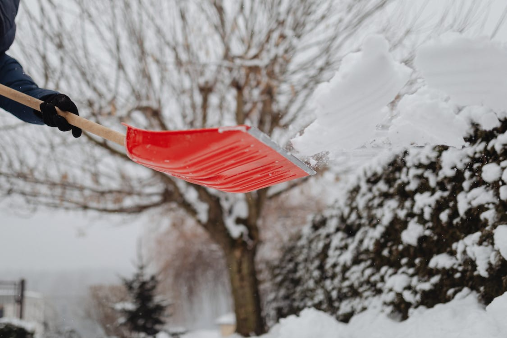 hand in glove shoveling off snow with red plastic shovel and tree in background