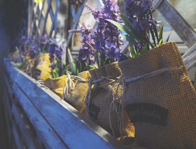 Lavender put into bags near a window